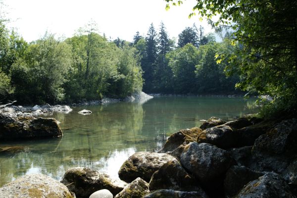 Ochsen Gasthof (Hittisau)